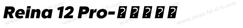 Reina 12 Pro字体转换